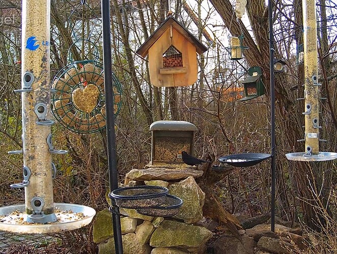 Screenshot_20241222_121541_Chrome