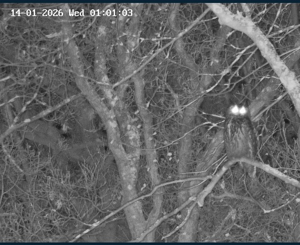 Screenshot_20260114_005957_Samsung Internet