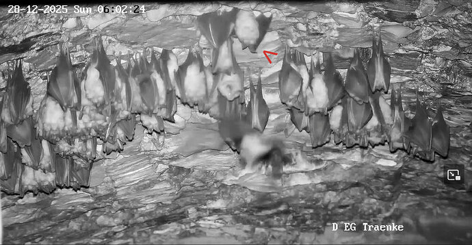 2025-12-28 ab 6.00 Störung Hufi_2