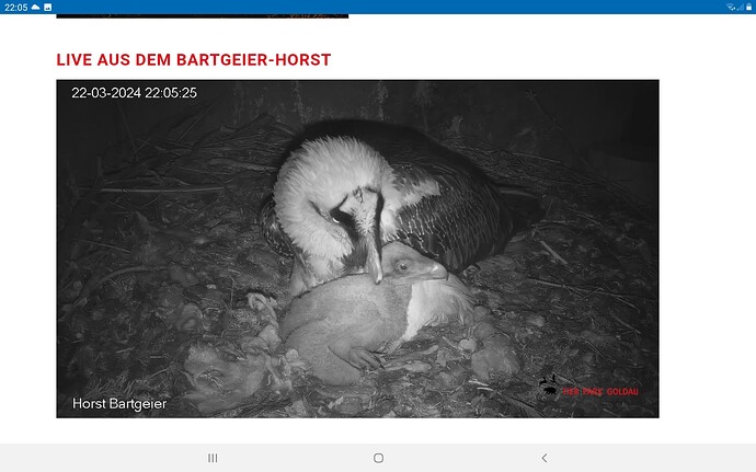 Screenshot_20240322-220540_Chrome