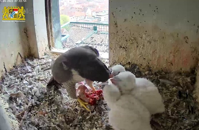 Screenshot_20230419-074415~2