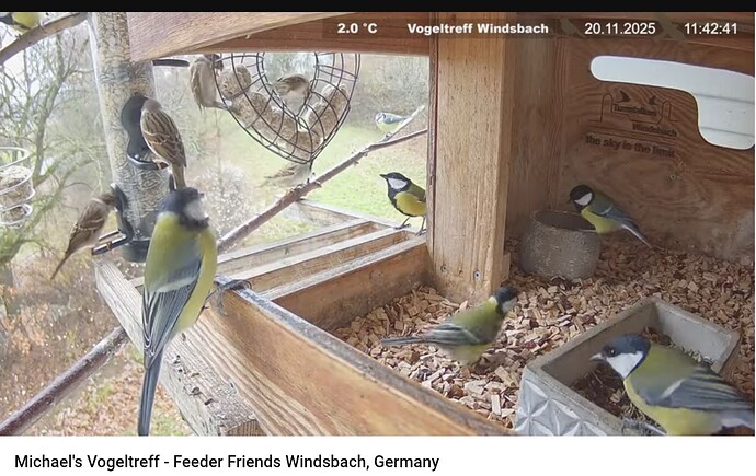 Screenshot_20251120-114529~2