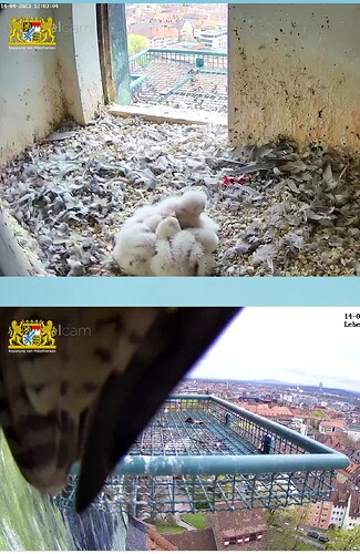 Screenshot_20230414-120330~2