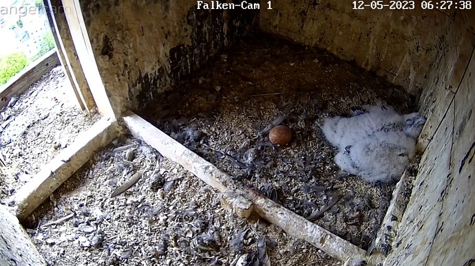 Screenshot_20230512-062800_Samsung Internet