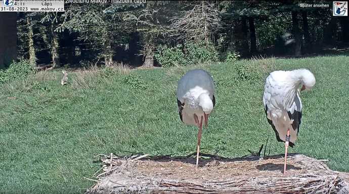 Snap_2023.08.31_15h14m41s_006_