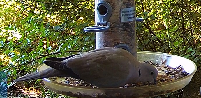 TüTa bei Schorsch 20.05.24