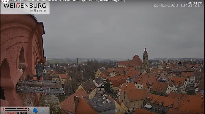 Snap_2023.02.23_13h51m36s_013_