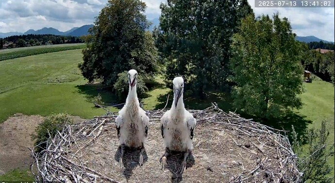 Screenshot_20250713-205807_YouTube