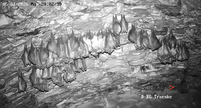 2026-01-05_5 Paarung und Kugel