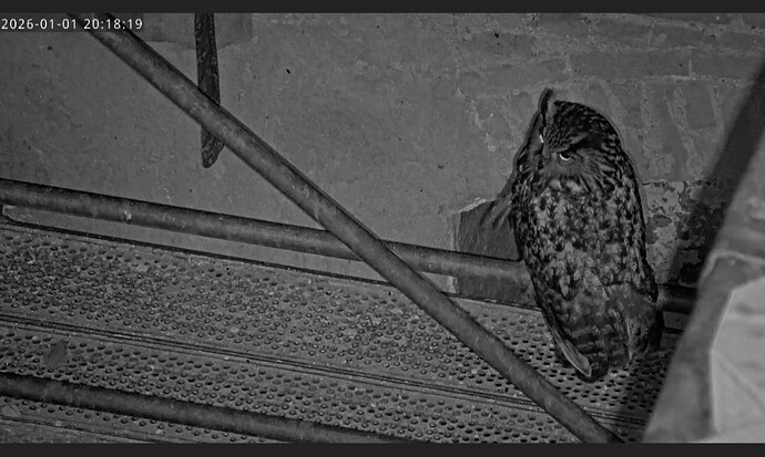 Screenshot_20260101_201858_Samsung Internet