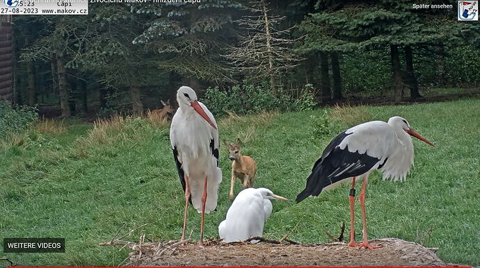 Snap_2023.08.27_18h49m19s_003_