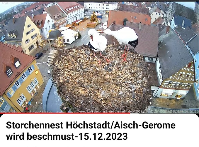 Screenshot_20231216_015458_YouTube