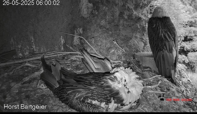 Screenshot_2025-05-26-06-01-25-252_com.android.chrome