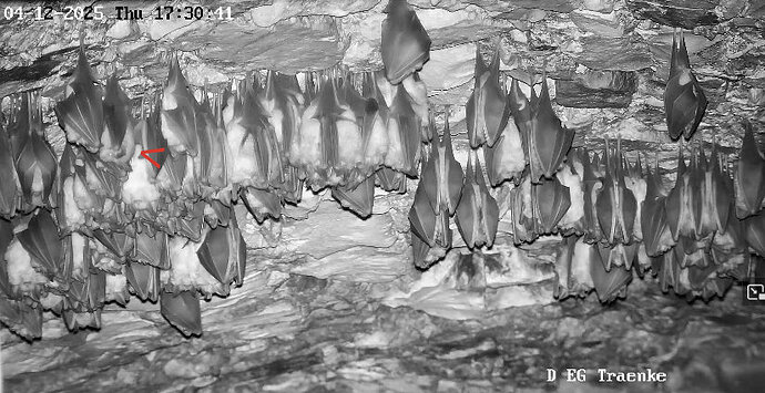 1 Vollbildaufzeichnung 04.12.2025 173052