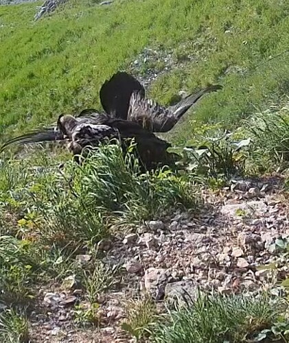 Screenshot_20250615-061333_Chrome