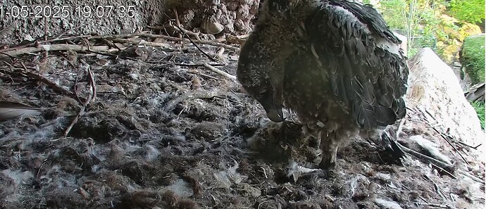 Endlich mal zu sehen 01.05.25