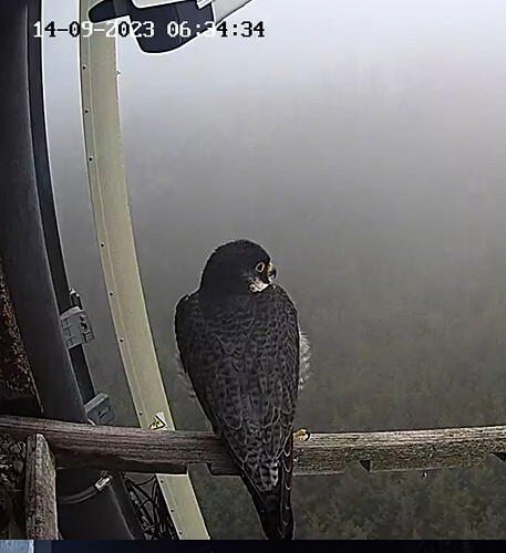 Capture+_2023-09-14-07-34-04(1)