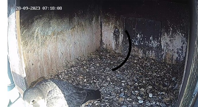 Screenshot_20230928_081605_Chrome