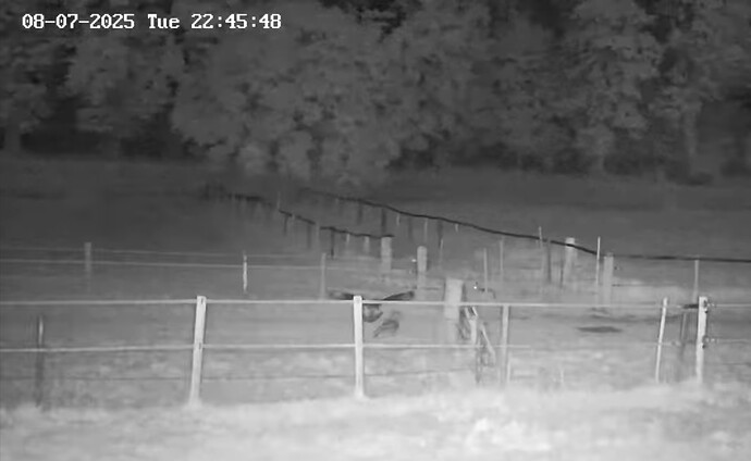 Screenshot_20250708_225717_YouTube