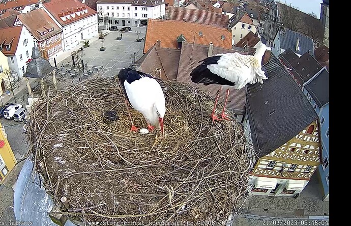 Bild