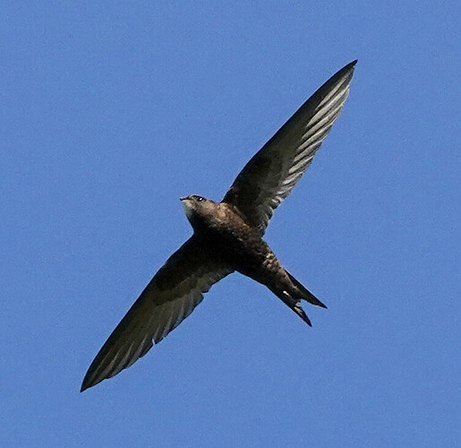 DSC03621