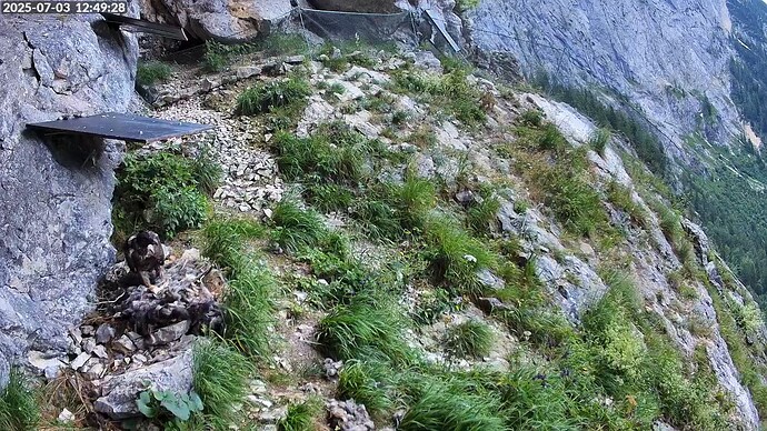 Bildschirmfoto vom 2025-07-03 12-49-52