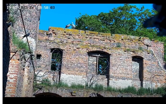 Screenshot_20230519_085826_Samsung Internet