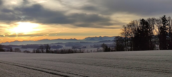 IMG_20230108_085259