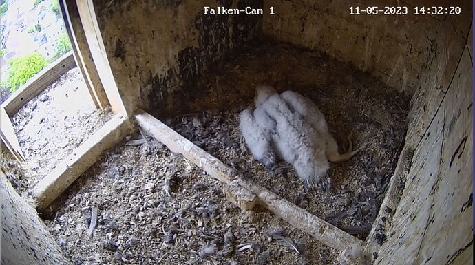 Snap_2023.05.11_14h32m42s_002_