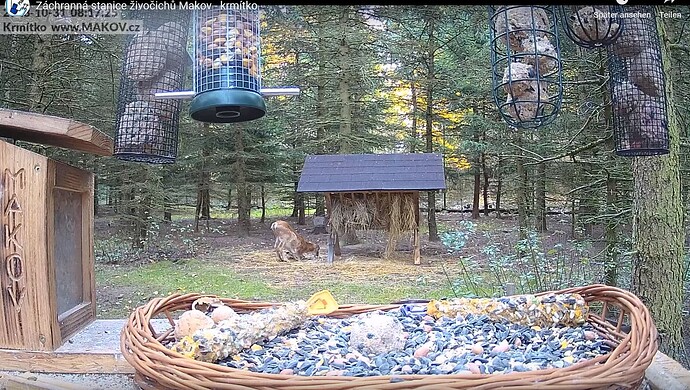 Snap_2023.10.31_08h23m13s_007_