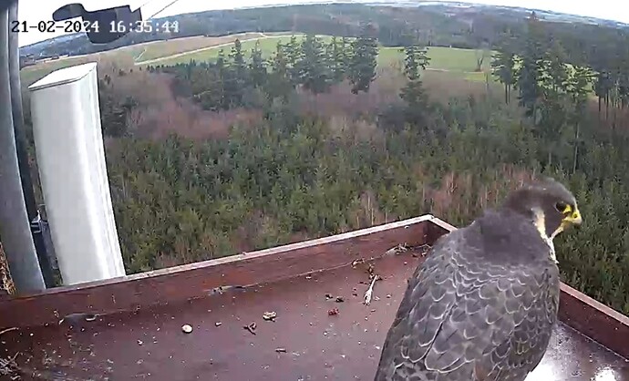 Screenshot_20240221_163434_Samsung Internet