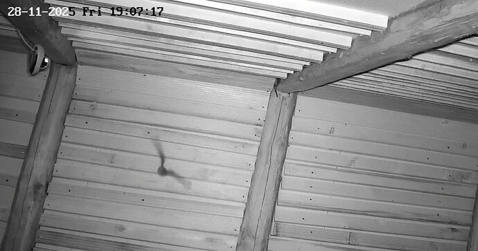 Vollbildaufzeichnung 28.11.2025 190720