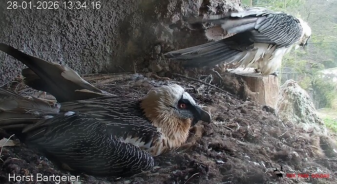 Treffen M u H 28.01.26