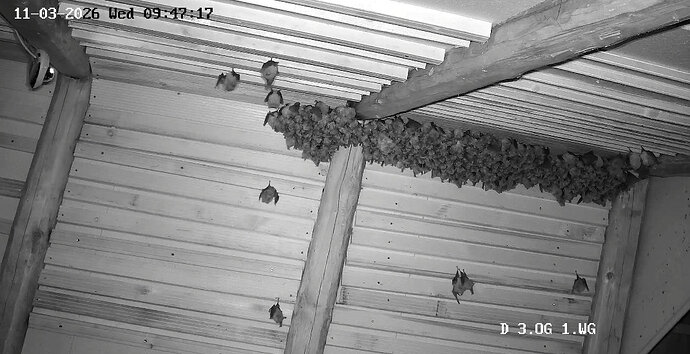 2026-03-11_1 ca 09.45 Cluster WG