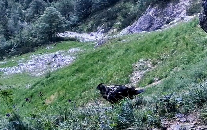 Screenshot_2025-06-16-05-10-04-139_com.android.chrome