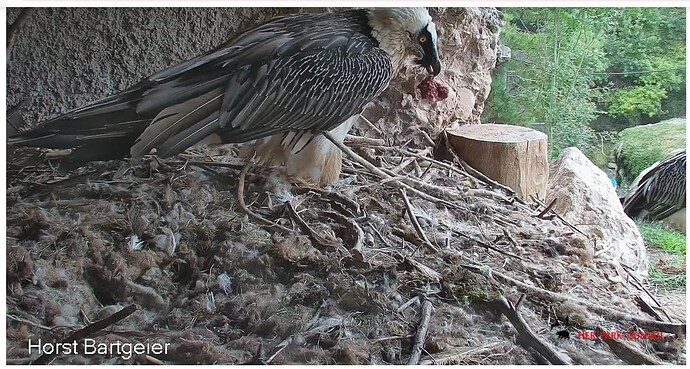 Screenshot_20251003-171655~2