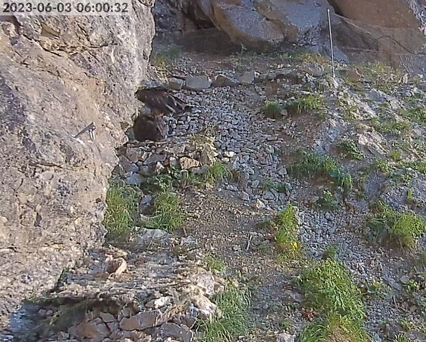 Snap_2023.06.03_06h00m58s_002_