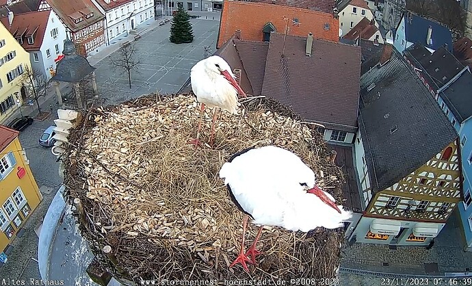 Screenshot_2023-11-23-07-47-02-283_com.android.chrome