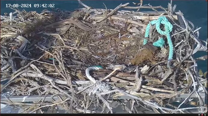 Screenshot_20240817_022641_YouTube