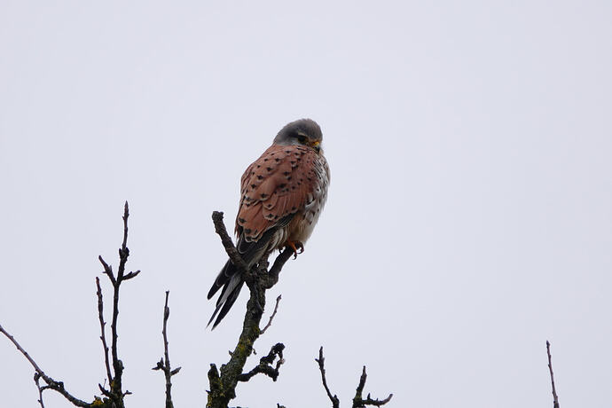 DSC09160