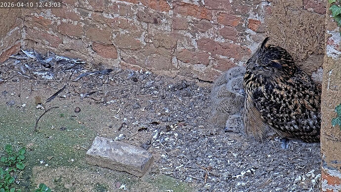 Screenshot_20260410_125557_YouTube