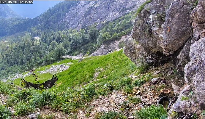 Screenshot_2025-06-20-09-05-45-935_com.android.chrome