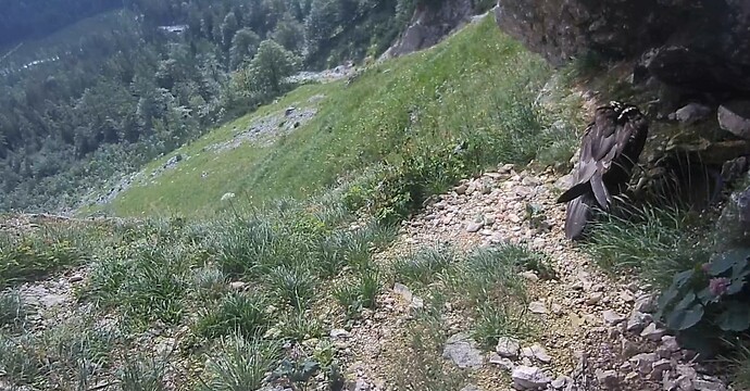 Screenshot_20230724-091913_Chrome