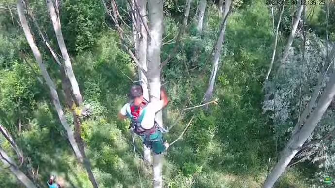 buzz_230530_retun