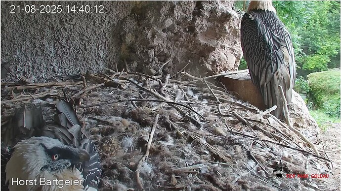 Screenshot_20250821-144116~2