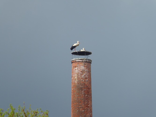 P1000427