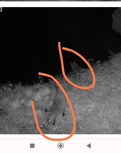 Screenshot_2023-06-12-22-42-29-702-edit_com.android.chrome