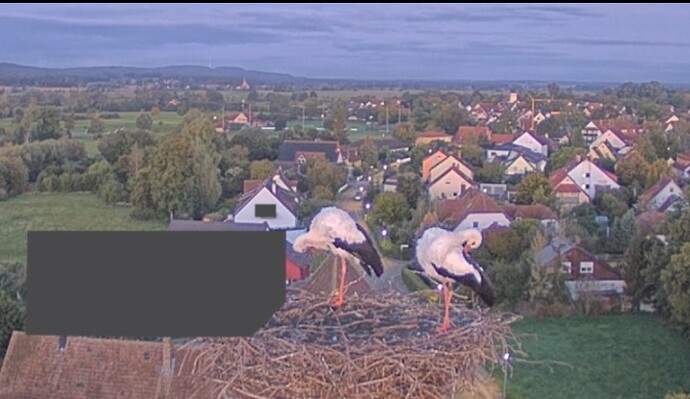 Screenshot_20240925-064231_DuckDuckGo