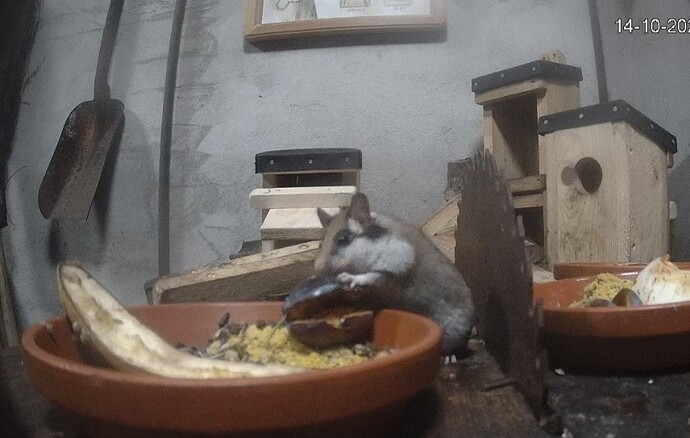 Screenshot_20231014_121414_Samsung Internet