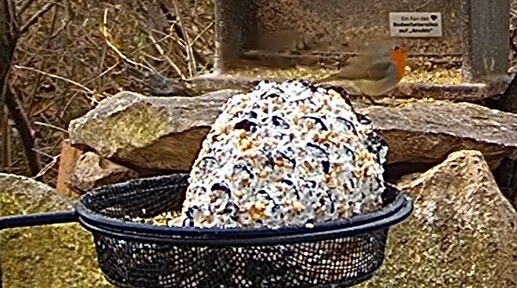 Robin 22.01.26